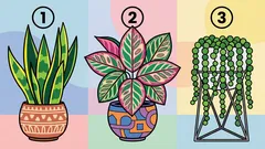 Personality Type Test: Choose a Plant and Discover How You Care for Yourself