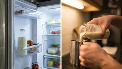 How to Make Milk Last Longer in the Refrigerator: One Important Condition