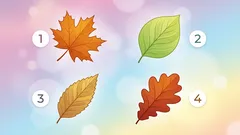 Personality Type Test: Find Out Your Level of Attentiveness